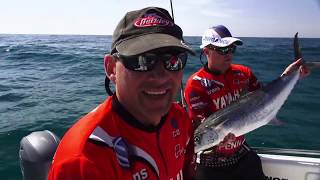 Great Natal Snoek action of Wavedancer at St Lucia | ASFN Deep Sea Fishing