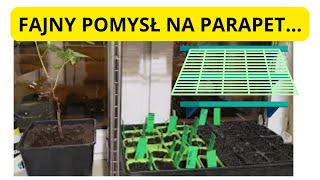 Fajny pomysł na parapet...