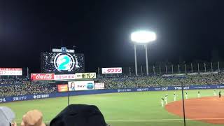 東京ヤクルトスワローズ 神宮花火ナイター