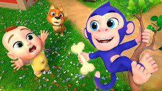 Catch a Monkey Song | Eeny Meeny Miny Moe | Lalafun Nursery Rhymes & Kids Songs