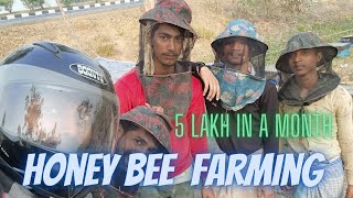 Honey Bee Farming | 5 lakh Profit in a Month | Desi method to process honey(Apiculture)