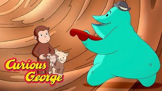 George Doesn't Feel So Well 🐵 Curious George 🐵 Kids Cartoon 🐵 Kids Movies
