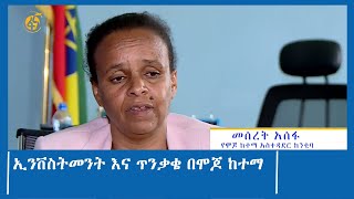 ኢንቨስትመንት እና ጥንቃቄ በሞጆ ከተማ