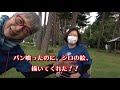 河原で拾ったシロの思い出と、小さい子のパン横取りしてしまった朝市の苦い思い出、でも、小さい子は大きくなって、シロの絵描いてくれた