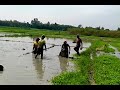 গ্রামের দুরন্তপনা। সবাই এই স্মৃতি মনে রাখে। দেখুন ছোট বাচ্চা গুলো কিভাবে মাছ ধরে আনন্দ পাচ্ছে।