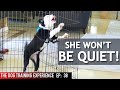 My Dog Barks When I Leave Her Alone! Watch Me Train Her To Stop!