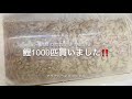 鯉を1000匹買って、肉食魚たちにあげてみたら、、