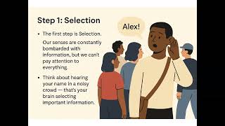 The Perception Process: How We Make Sense of the World
