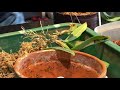 repotting a bulbophyllum orchids