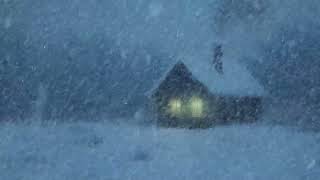 Piercing Snowstorm Sounds \u0026 Raging Winter Storm | Heavy Blizzard Sounds for Sleeping | White Noise