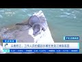 正点财经 云南怒江：工作人员拍摄到水獭在独龙江捕食画面 cctv财经