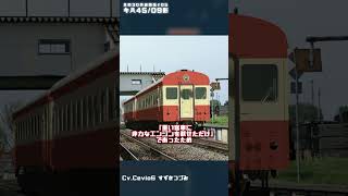 【北の3D鉄道図鑑】キハ４５・０９形気動車 #005  #鉄道 #気動車 #JNR #国鉄 #迷列車で行こう #train