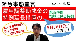 雇用調整助成金の５月、６月の特例措置延長公表！【HIKARIチャンネル121】