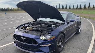 PBD 2019 Mustang GT 10’s N/A