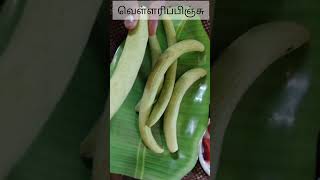 இதுல எந்த fruit உங்களுடைய favourite