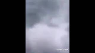 Girl Dives In Pool