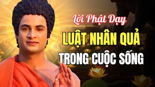 Luật Nhân Quả – Nghe Lời Phật Dạy Người Sống Tốt Gặt Quả Báo Tốt