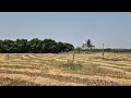 1 acre land for sale nangunoor mandal siddipet dist