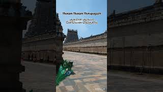 சிதம்பரம் திருப்புகழ் (குகனெ குருபர னேயென நெஞ்சிற் புகழ அருள்கொடு)