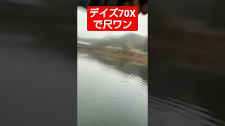 デイズ70Xで尺ワンを投げる動画が大変視られております😃