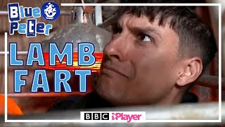 Richie gets FARTED on by a Baby Lamb! | Blue Peter | CBBC