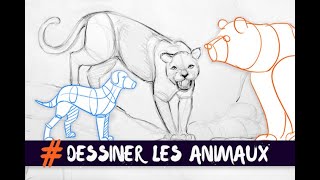 DESSINER LES ANIMAUX : TECHNIQUE DE BASE