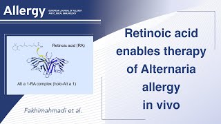 Retinoic acid enables therapy of Alternaria allergy in vivo