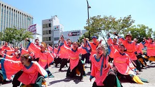 神戸大学よさこいチーム山美鼓　JR和歌山駅前　おどるんや紀州よさこい2018