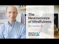 The Neuroscience of Mindfulness - Dan Lowenstein, M.D.