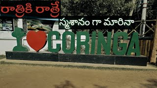 Korangi Wildlife Sanctuary | CORINGA Mada Forest | Tourist Spot in Kakinada |AP Tourism|Desha Vihari