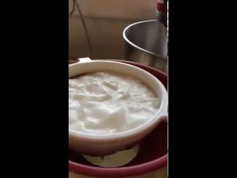 How to Strain Milk Kefir Grains How to Strain Milk Kefir Grains