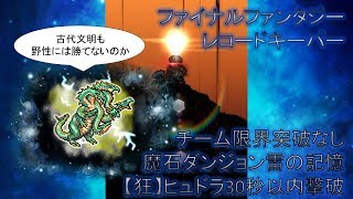 FFRK　チーム限界突破なし　魔石ダンジョン　雷の記憶【狂】ヒュドラ　30秒以内撃破