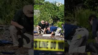 Human remains identified as Florida 19-year-old missing since 2015