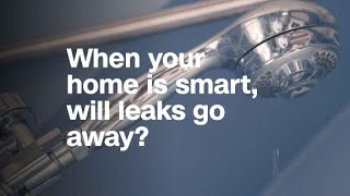 When your home is smart, will leaks go away?
