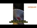 review vornado mvh space heater with 3 heat settings adjustable thermostat tip over protection au