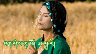 New Tibetan Song Aashure by Tashi Lhamo བཀྲ་ཤིས་ལྷ་མོ། 2021