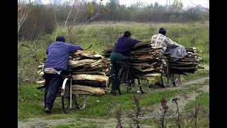 Vamuzze 2022 - Tanévnyitó mixecske,vigyél magaddal FÁT (ÖcséMIX)