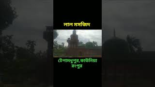 লাল মসজিদ টেপামধুপুর, কাউনিয়া -রংপুর।