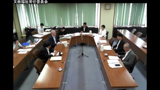 第11回文教福祉常任委員会（H29.6.6）③