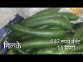 7 जानेवारी 2025 दुपारचे बाजार भाव नाशिक मार्केट vegetables market nashik bajar bhav today