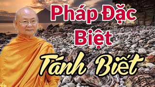 Một Pháp rất đặc biệt đó là Tánh Biết ở mỗi người | Thầy Viên Minh giảng | Phật Học Căn Bản