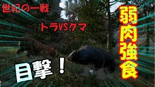 FARCRY4　実況　#4　目撃！トラ VS クマ　[PS4・ファークライ４・オンライン・マルチプレイ・CO-OP・シャック]