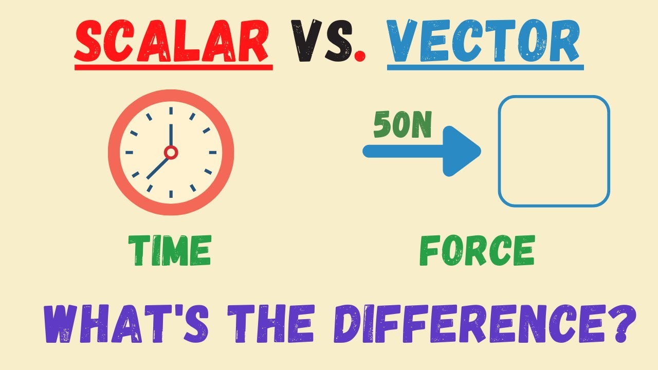 Scalar Vs Vector Quantities