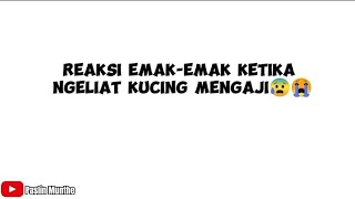 Bikin Ngakak! Emak-emak Kaget Liat Kucing Bisa Ngaji!\