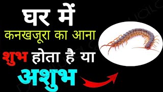 कनखजूरा का घर आना शुभ या अशुभ? Kankhajura (centipede) shubh Ashubh|Lalkitab Astrology|Vastu Shastra