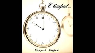 Vineyard Ungheni - Tu mi ai dat mai mult