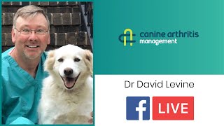 CAM LIVE: Pain and soft tissue consequences of osteoarthritis with David Levine