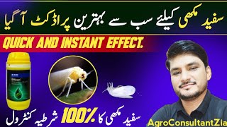 Cotton Episode 2 | Latest White Fly Control | Efficon Powered By Axalion | Dimpropyridaz | India