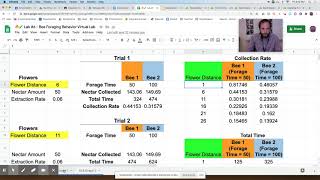 🔥🧪 Lab #6 - Bee Foraging Behavior Virtual Lab Video