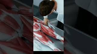 How Forensic Expert Create Death Time Report Shotrs 3b